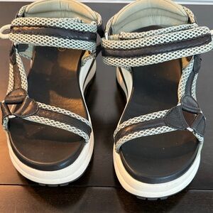 Ash Black and Sage Sport PlatformSandals